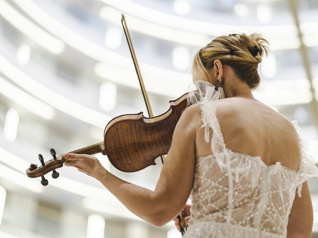 violin, violinist, musician-8405558.jpg