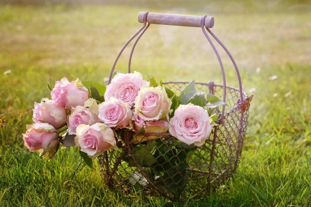 roses, flowers, basket-1566792.jpg